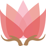 开云 (集团) 官方网站 Kaiyun- 登录入口