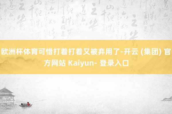 欧洲杯体育可惜打着打着又被弃用了-开云 (集团) 官方网站 Kaiyun- 登录入口
