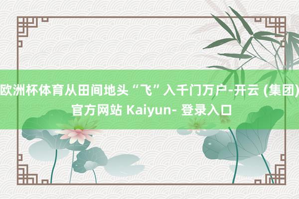 欧洲杯体育从田间地头“飞”入千门万户-开云 (集团) 官方网站 Kaiyun- 登录入口