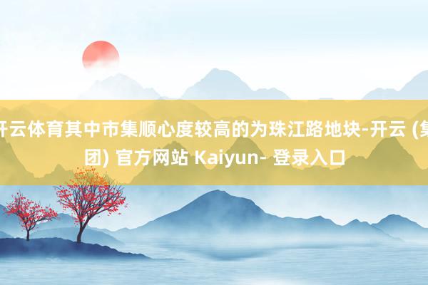 开云体育其中市集顺心度较高的为珠江路地块-开云 (集团) 官方网站 Kaiyun- 登录入口