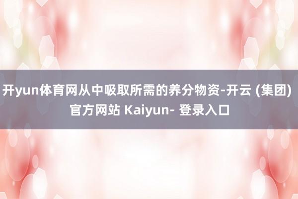 开yun体育网从中吸取所需的养分物资-开云 (集团) 官方网站 Kaiyun- 登录入口
