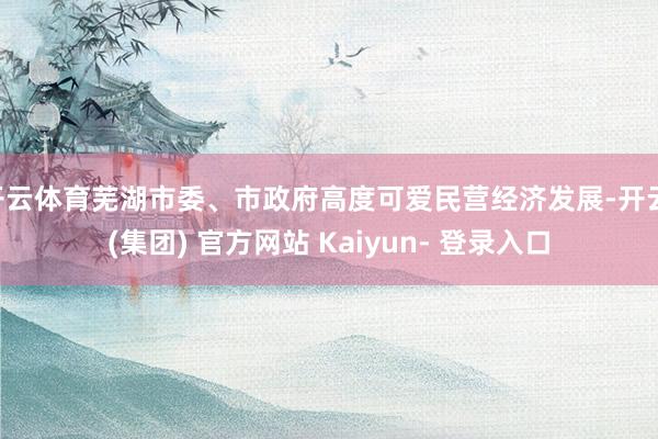 开云体育芜湖市委、市政府高度可爱民营经济发展-开云 (集团) 官方网站 Kaiyun- 登录入口