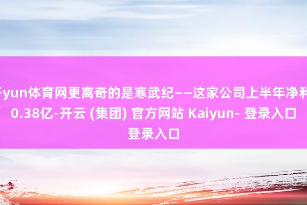 开yun体育网更离奇的是寒武纪——这家公司上半年净利10.38亿-开云 (集团) 官方网站 Kaiyun- 登录入口