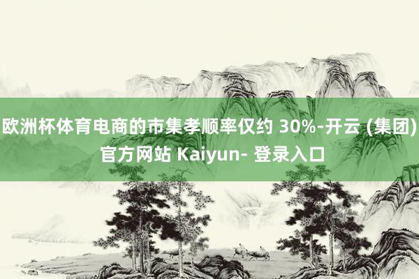 欧洲杯体育电商的市集孝顺率仅约 30%-开云 (集团) 官方网站 Kaiyun- 登录入口