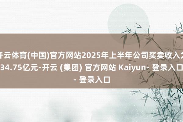 开云体育(中国)官方网站2025年上半年公司买卖收入为34.75亿元-开云 (集团) 官方网站 Kaiyun- 登录入口
